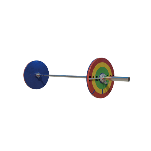 Athlete lifting with secured modular Olympic plates